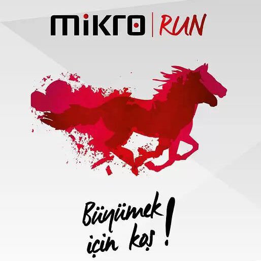 Mikro Run v17 Ön Muhasebe Programı