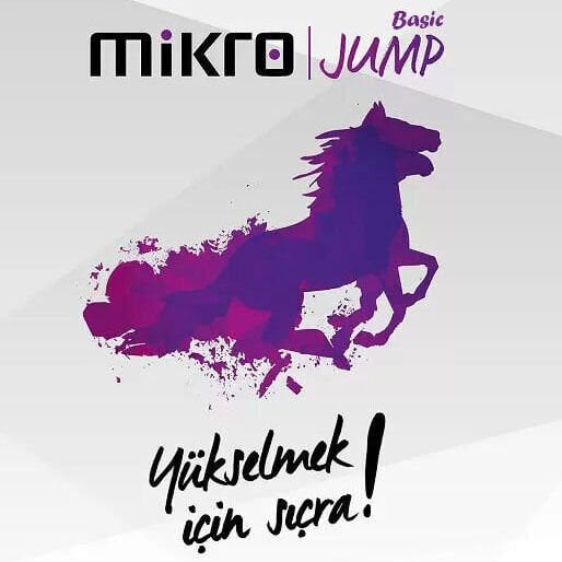 Mikro Jump Basic v17 Muhasebe Programı